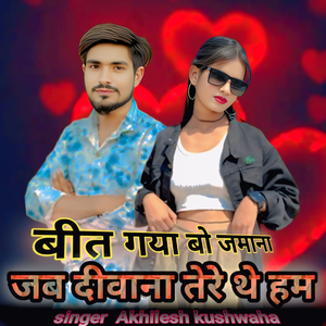 Bit Gaya Bo Jamana Jab Diwana Tere The Ham