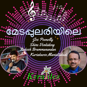Medappulariyile