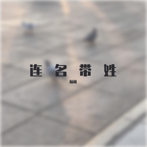 连名带姓