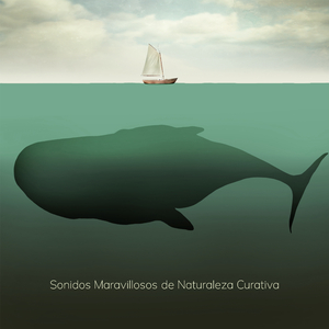 Playa Lenta y Apacible de la Isla