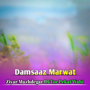 Ziyar Mazhdegar Di Tor Pekai Wahi