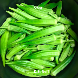 Okra