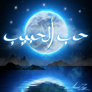 Hub Al-Habib