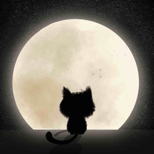 水调歌头·相思寄明月 伴奏