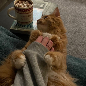 执子子手（抖音热门）