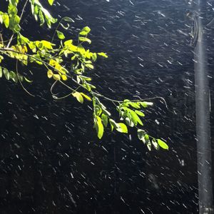 冬の日の思い出（冬日回忆）