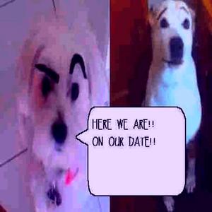 dating start (TheReal King Jay Remix)