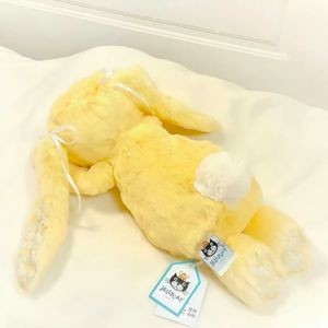 风系鞋带的日子