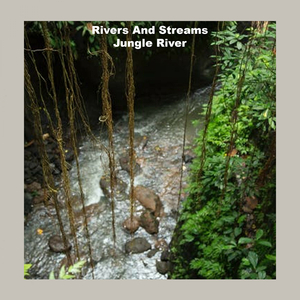 Jungle River