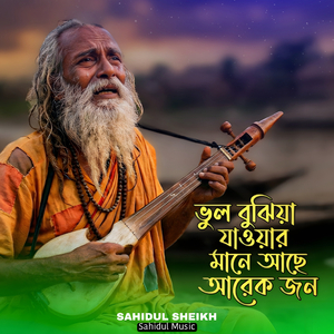 ভুল বুঝিয়া যাওয়ার মানে আছে আরেক জন