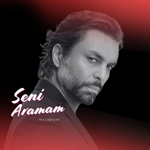 Seni Aramam