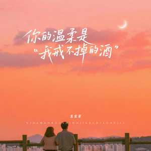 你的温柔是我戒不掉的酒