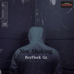 Not Shaking (feat. Mula Gzz, Bory 300, Dougie B & Kay Flocka)