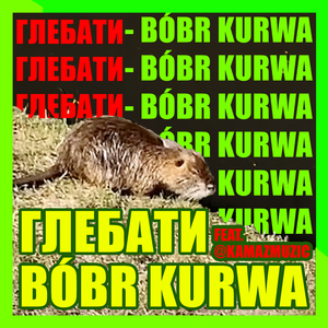 Bóbr kurwa