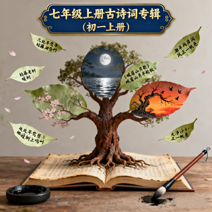 观沧海
