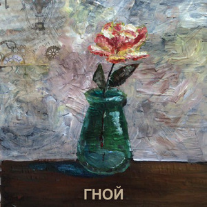 Гной