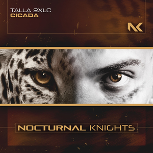 Cicada (Extended Mix)