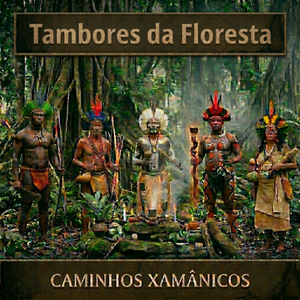 Tambores da Floresta