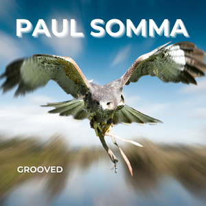 Grooved (Radio Edit)