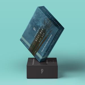 Masiwei x Chinese Boombap Type Beat "得道成仙"