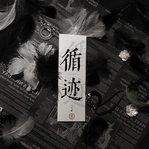 王子健-循迹，二毛（二毛砸 remix）