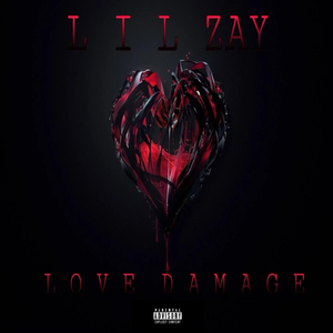 Love Damage