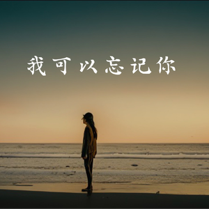 我可以忘记你