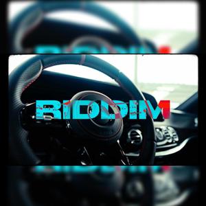 RIDDIM (feat. SKI, GOGZZZY, AGATORA & AFRATA, NOCTRAZZ, YSAVV & SV)