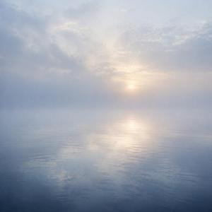 Diving Into The Lake