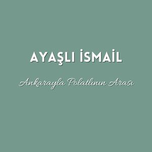 Ankarayla Polatlının Arası