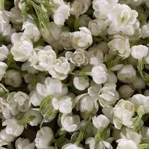 FREE Hip-hop folk music-“茉莉花”