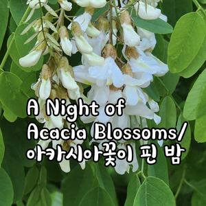A Night of Acacia Blossoms/ 아카시아꽃이 핀 밤