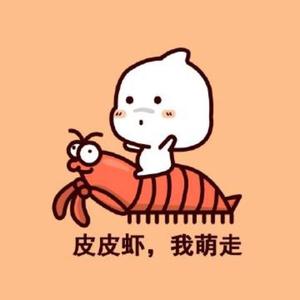 李小政-皮皮虾 给我摇起来DJ（李小政 / KAY remix）