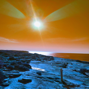 Nicest People over the Fence