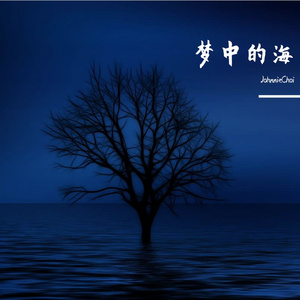 梦中的海