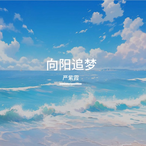 向阳追梦