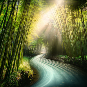 The Rhythm Of The Changing Seasons