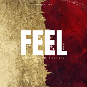 Feel (Now You're Going!)