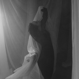 Весенние птицы