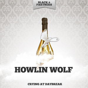 Howlin Wolf Boogie (Original Mix)