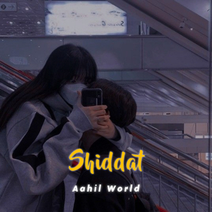 Shiddat (Slowed and Reverb)