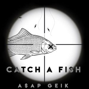 catch a fish