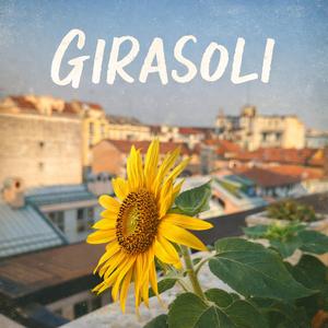 Girasoli