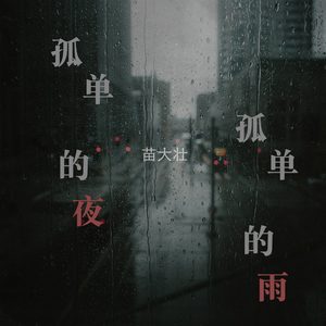 孤单的夜孤单的雨