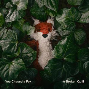 You Chased a Fox