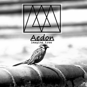 Aedon