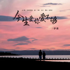 今生爱你爱不够 (DJ默涵版)