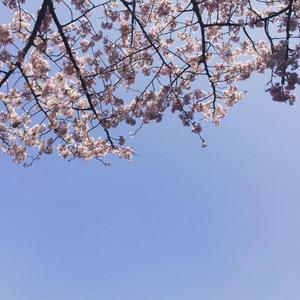 一千零一个愿望