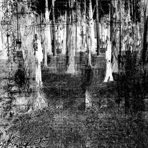 dimensão (feat. vinogradov & leoaxls)