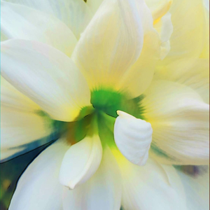 Out Side Of The Shadow